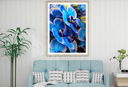 Blue Mystique Orchid Closeup View Photograph Home Decor Premium Quality Poster Print Choose Your Sizes