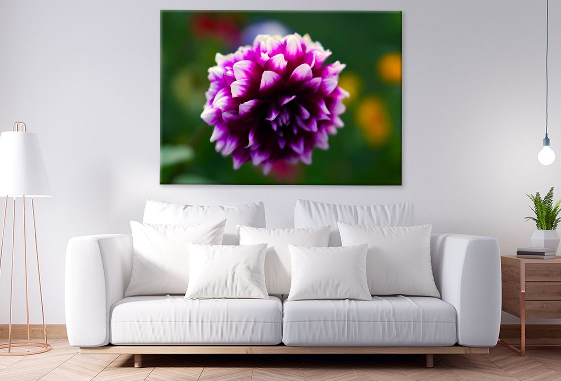 Purple Flower Photograph Print 100% Australian Made