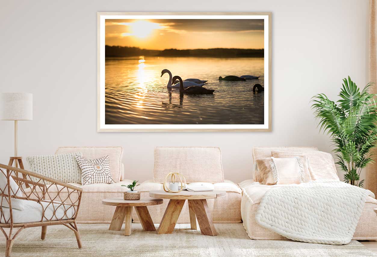 Swans on the Lake During Sunset View Photograph Home Decor Premium Quality Poster Print Choose Your Sizes