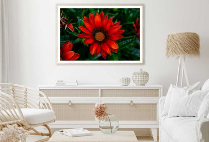 Red Daisy Flower Closeup View Photograph Home Decor Premium Quality Poster Print Choose Your Sizes