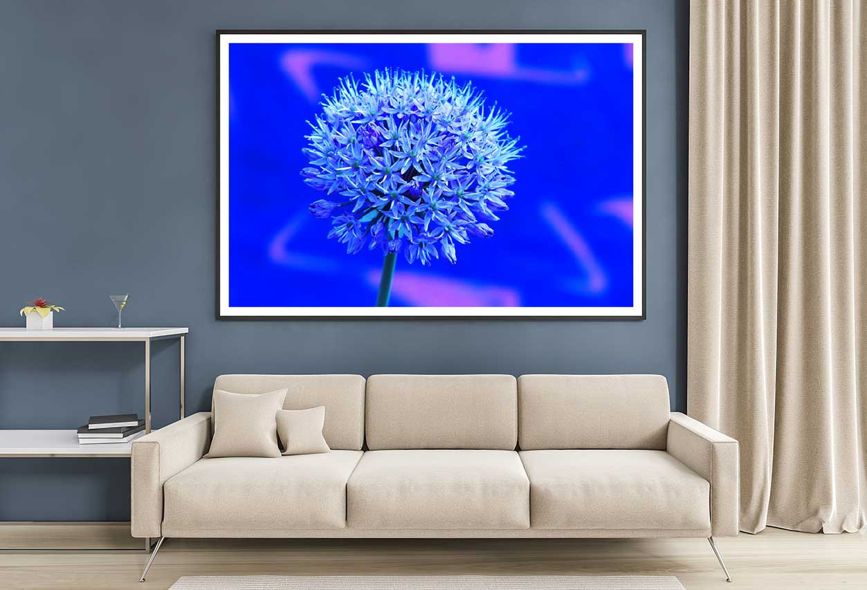 Blue Garlic Flower Closeup View Photograph Home Decor Premium Quality Poster Print Choose Your Sizes