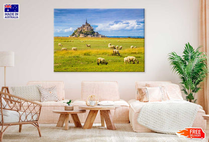 Le Mont Saint-Michel Island with Sheep Phootgraph Print 100% Australian Made