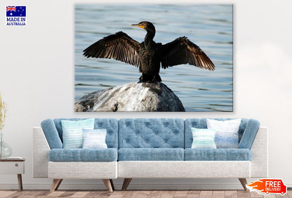 Portrait Water Bird Photograph Print 100% Australian Made