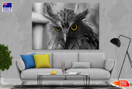 Yellow Eyed Owl B&W Photograph Print 100% Australian Made