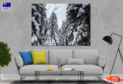 Winter Landscape Snow Forest View Photograph Print 100% Australian Made