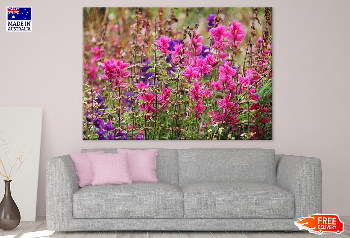 Colorful Flower Plants Field Photograph Print 100% Australian Made