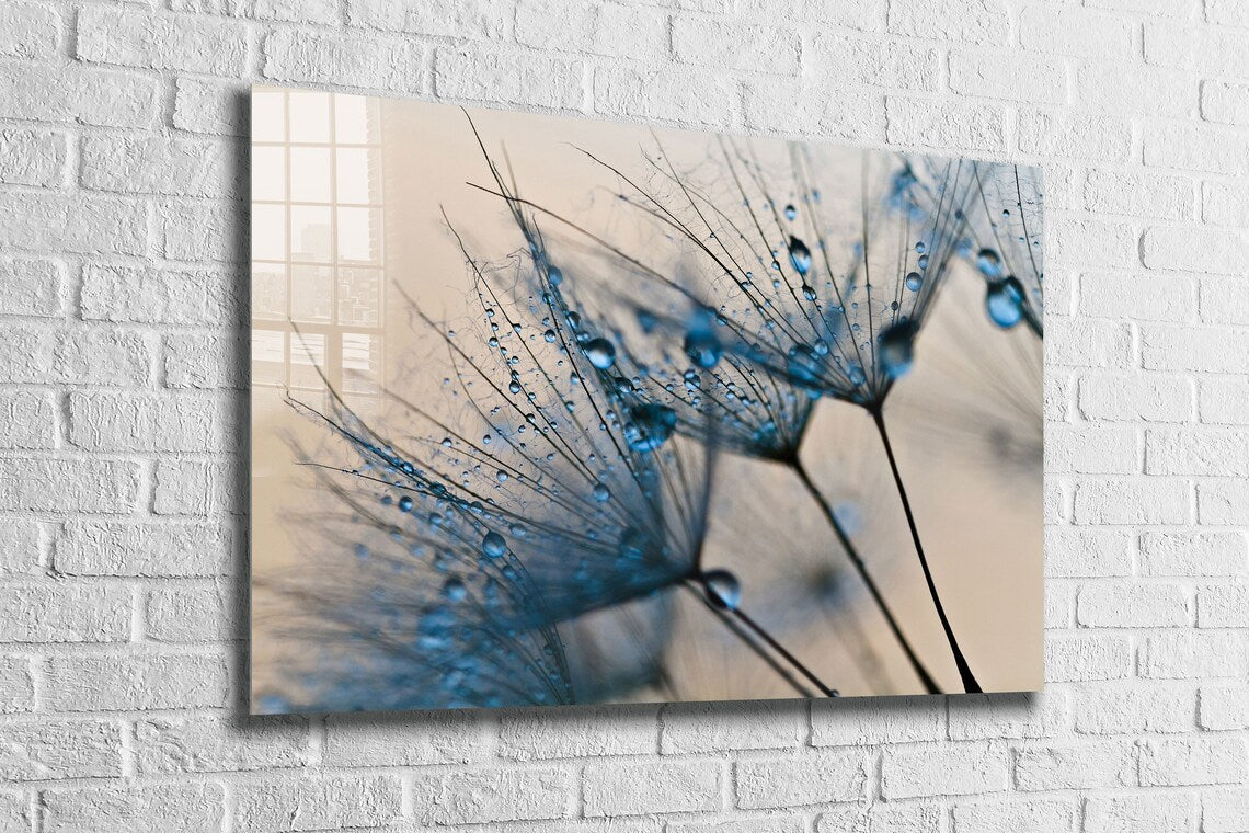 Dandelion Abstract View Print Tempered Glass Wall Art 100% Made in Australia Ready to Hang