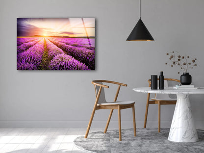 Lavender Field Sunset Photograph Acrylic Glass Print Tempered Glass Wall Art 100% Made in Australia Ready to Hang