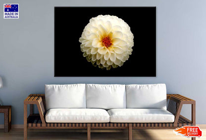 White Dahlia Flower on Dark View Photograph Print 100% Australian Made