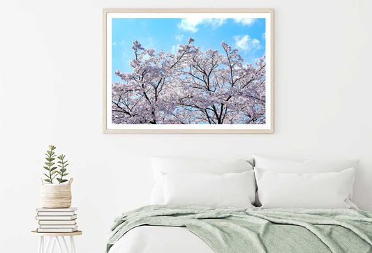 White Sakura Tree & Blue Sky View Photograph Home Decor Premium Quality Poster Print Choose Your Sizes