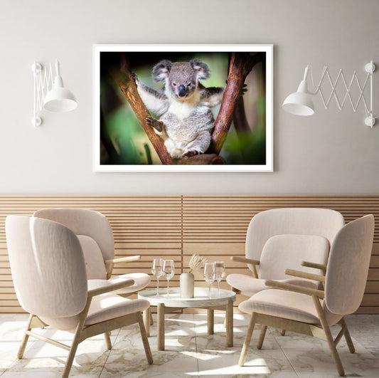 Koala Bear on Tree Photograph Home Decor Premium Quality Poster Print Choose Your Sizes