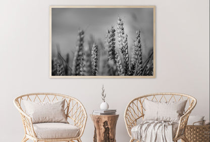 Wheat Plant Closeup B&W View Photograph Home Decor Premium Quality Poster Print Choose Your Sizes