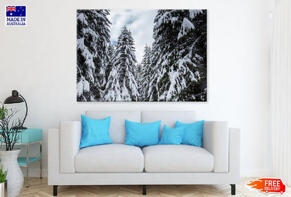 Winter Landscape Snow Forest View Photograph Print 100% Australian Made