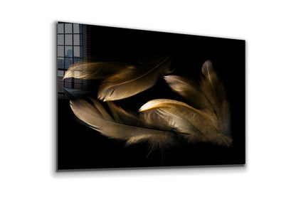 Brown Feathers on Dark Print Tempered Glass Wall Art 100% Made in Australia Ready to Hang