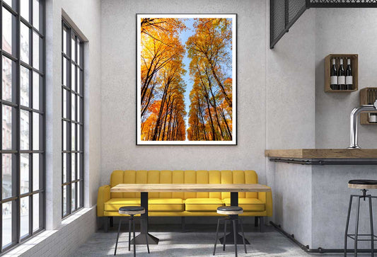 Autumn Trees Photograph in Nami Island Korea Home Decor Premium Quality Poster Print Choose Your Sizes