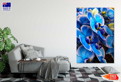 Blue Mystique Orchid Closeup View Photograph Print 100% Australian Made