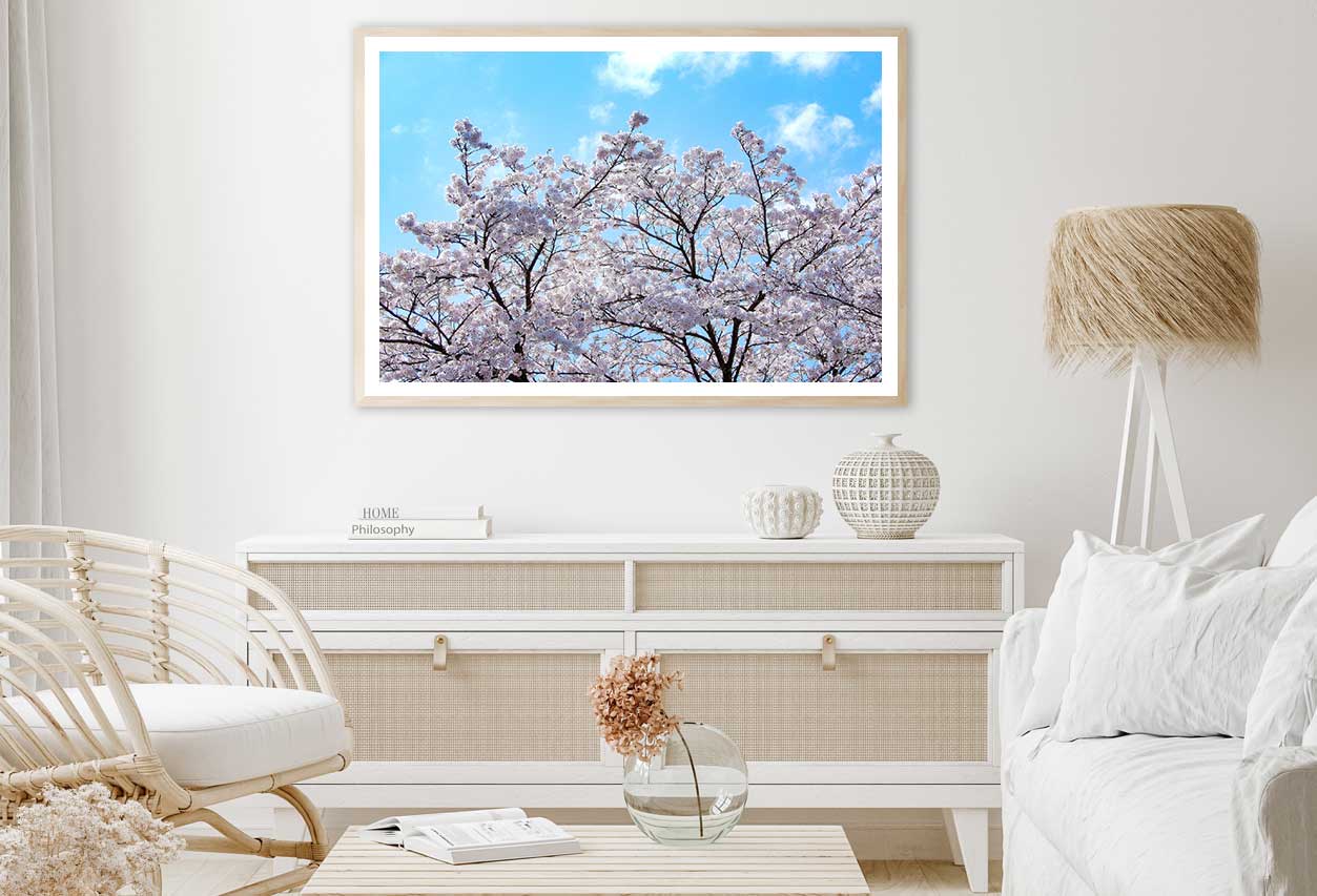 White Sakura Tree & Blue Sky View Photograph Home Decor Premium Quality Poster Print Choose Your Sizes