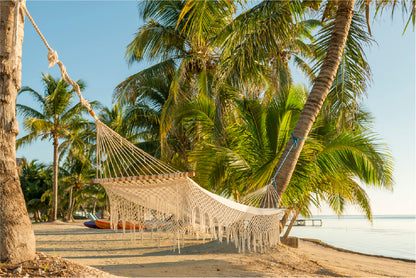 Bella Home Hammock Tied on Palm Trees at Beach Print Canvas Ready to hang