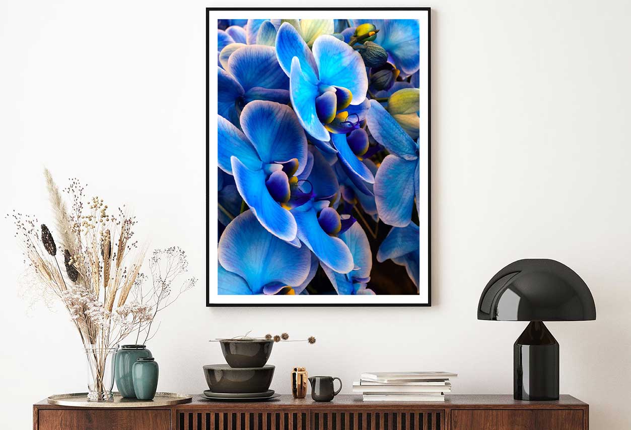 Blue Mystique Orchid Closeup View Photograph Home Decor Premium Quality Poster Print Choose Your Sizes