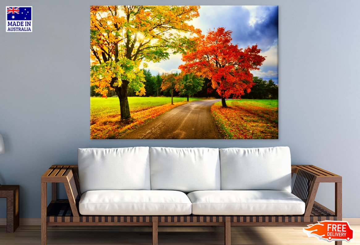 Autumn Trees & Road Photograph Print 100% Australian Made