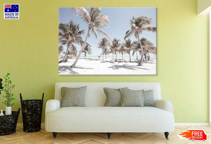 Palm Trees on Sandy Seashore View Photograph Print 100% Australian Made