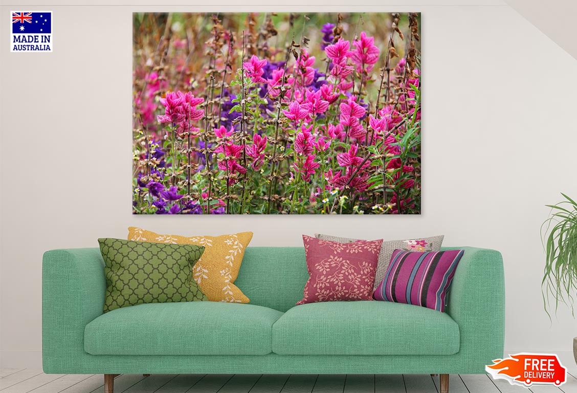 Colorful Flower Plants Field Photograph Print 100% Australian Made