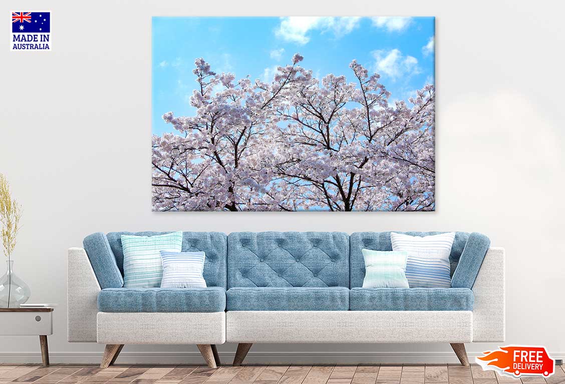 White Sakura Tree & Blue Sky View Photograph Print 100% Australian Made