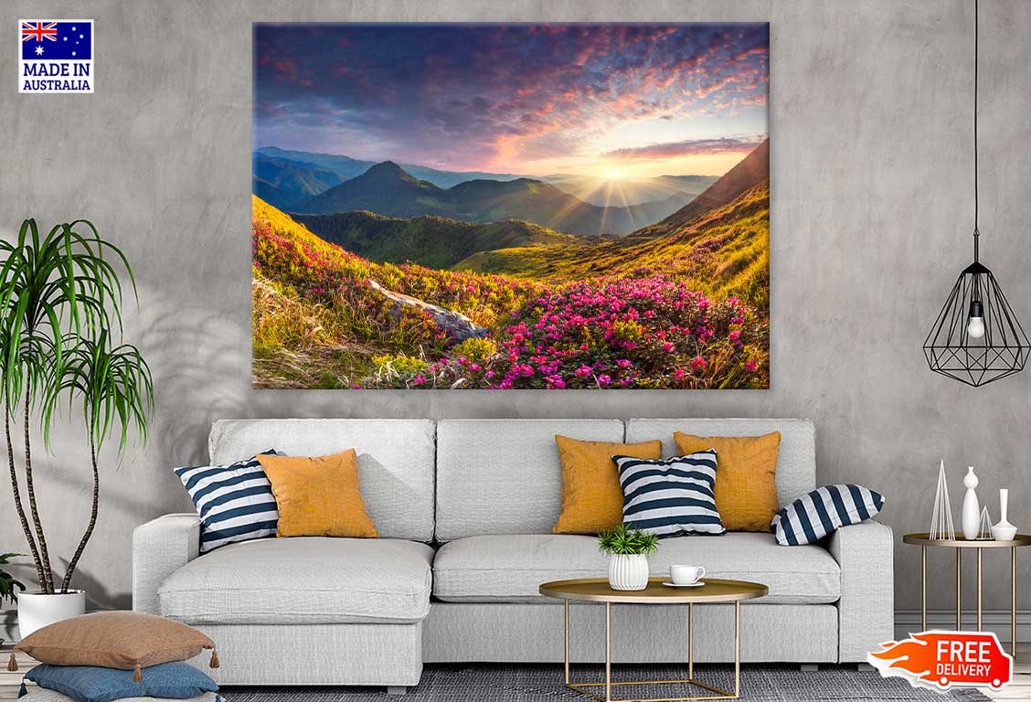 Flower Field on Mountain View Photograph Print 100% Australian Made