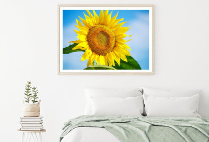 Sunflower & Blue Sky Closeup View Photograph Home Decor Premium Quality Poster Print Choose Your Sizes