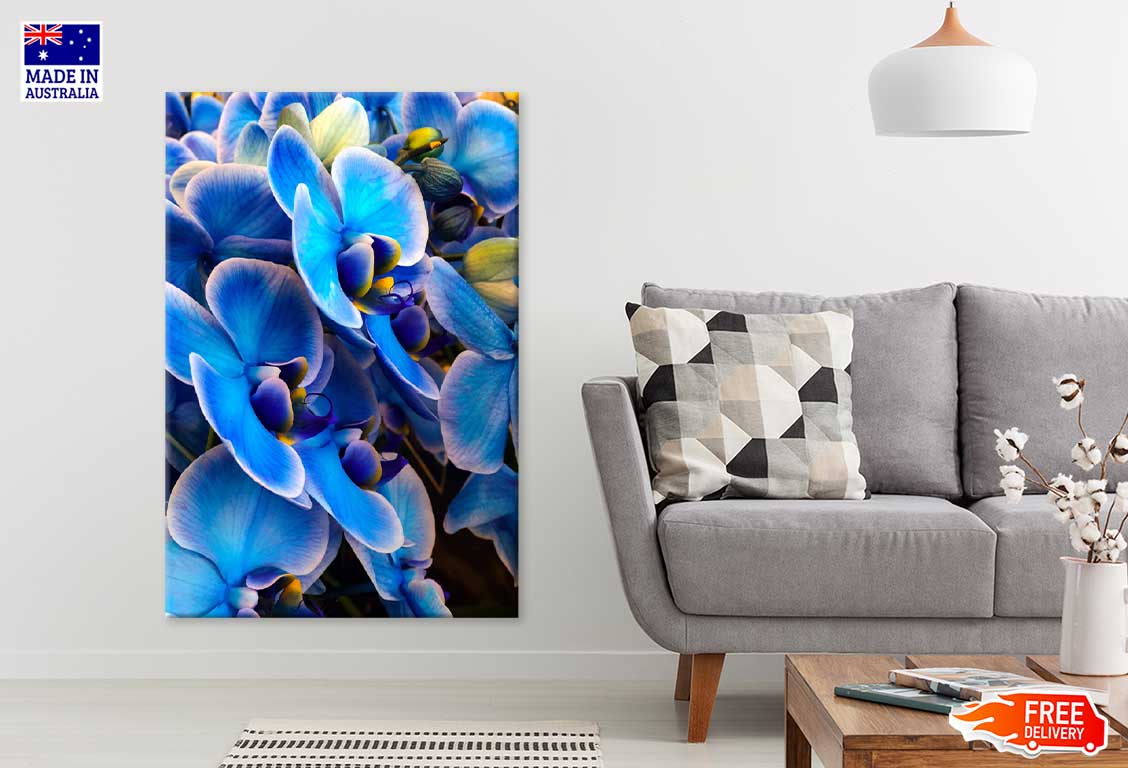 Blue Mystique Orchid Closeup View Photograph Print 100% Australian Made