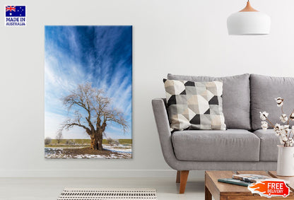 Leafless Tree on Snow Field View Photograph Print 100% Australian Made