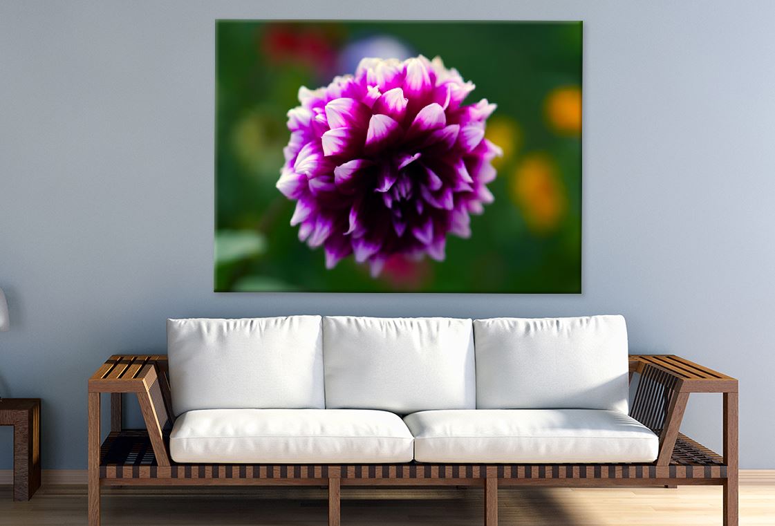 Purple Flower Photograph Print 100% Australian Made