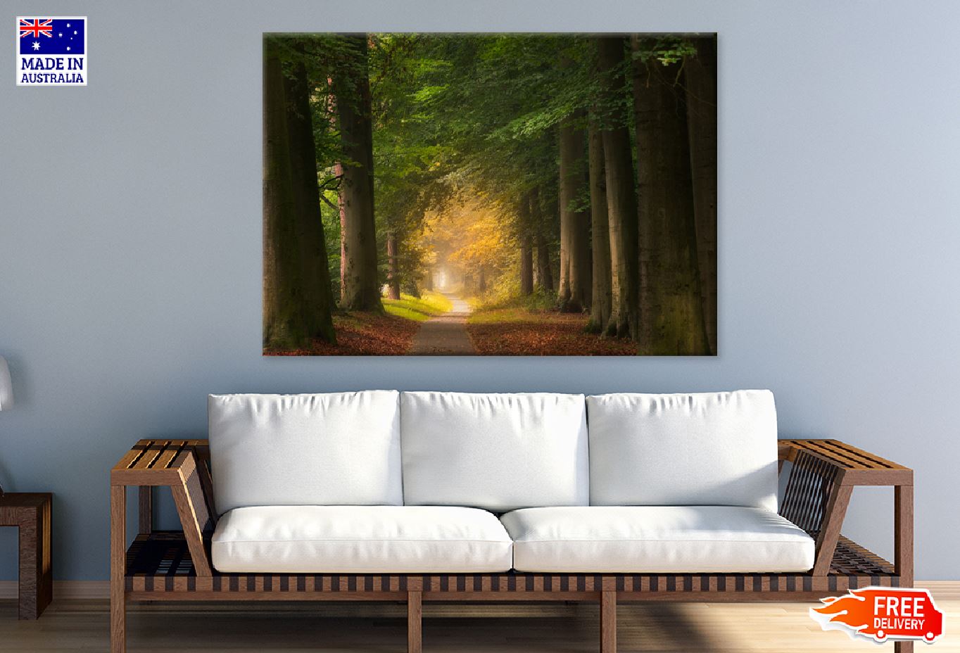 Forest Pathway & Big Green Trees Photograph Print 100% Australian Made