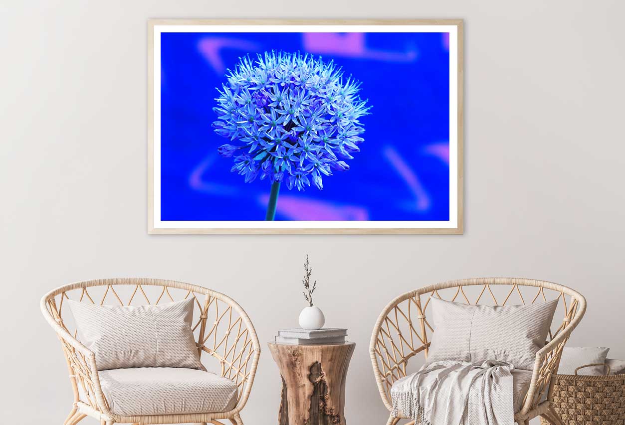 Blue Garlic Flower Closeup View Photograph Home Decor Premium Quality Poster Print Choose Your Sizes