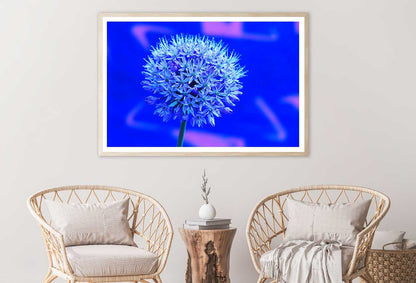 Blue Garlic Flower Closeup View Photograph Home Decor Premium Quality Poster Print Choose Your Sizes