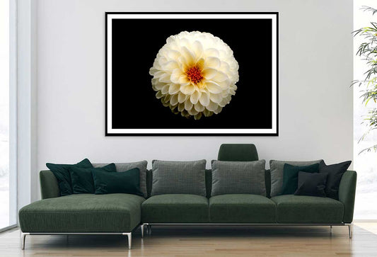 White Dahlia Flower on Dark View Photograph Home Decor Premium Quality Poster Print Choose Your Sizes