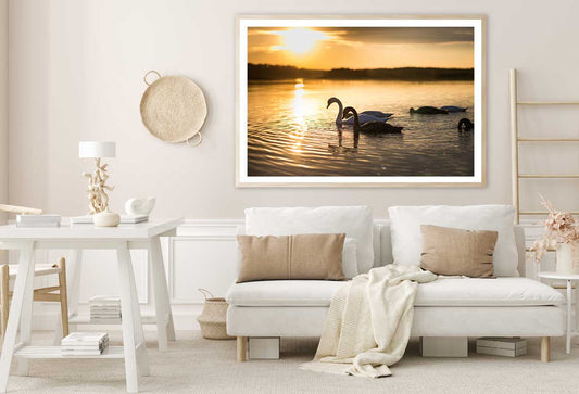 Swans on the Lake During Sunset View Photograph Home Decor Premium Quality Poster Print Choose Your Sizes