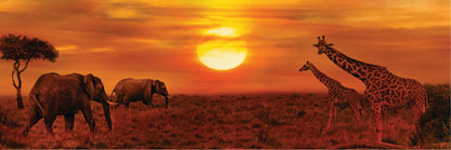 Panoramic Canvas Elephants & Giraffes Walking in Sunset High Quality 100% Australian made wall Canvas Print ready to hang