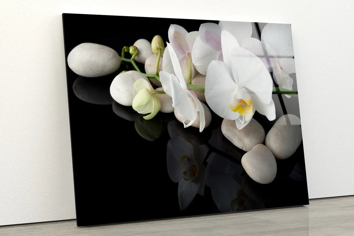 White Flowers & Stones Photograph Acrylic Glass Print Tempered Glass Wall Art 100% Made in Australia Ready to Hang