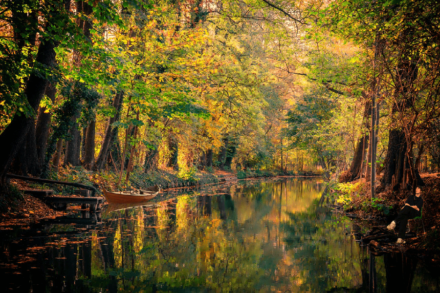 River in the Autumn Forest Photograph Print 100% Australian Made