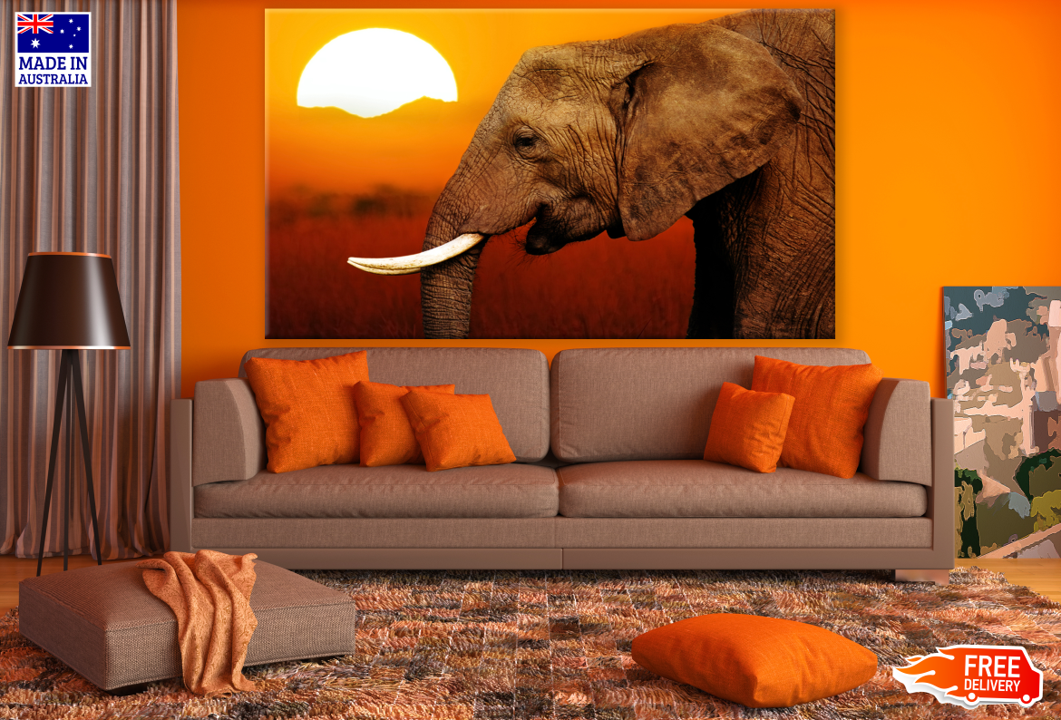 Elephant Face Portrait Sunset Print 100% Australian Made