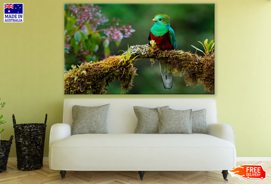 Colourful Bird on a Branch Photograph Print 100% Australian Made