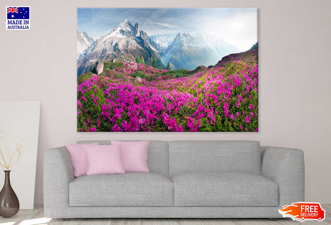 Flower National Park on Alps View Photograph Print 100% Australian Made