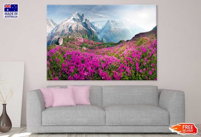 Flower National Park on Alps View Photograph Print 100% Australian Made