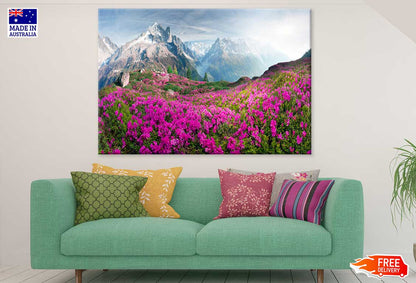 Flower National Park on Alps View Photograph Print 100% Australian Made