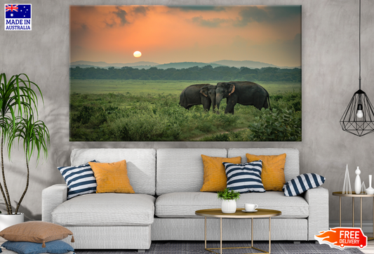 Elephant Love Sunset Photograph Print 100% Australian Made