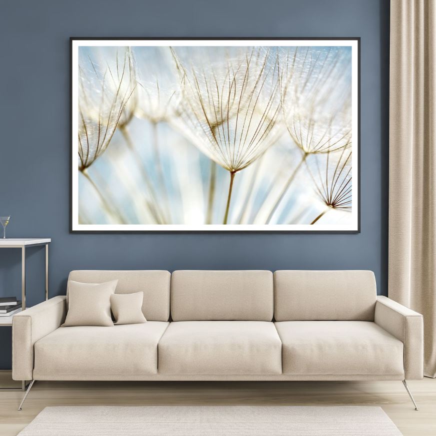 Dandelion Flowers Closeup View Home Decor Premium Quality Poster Print Choose Your Sizes
