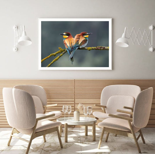 Colorful Birds on Tree Photograph Home Decor Premium Quality Poster Print Choose Your Sizes