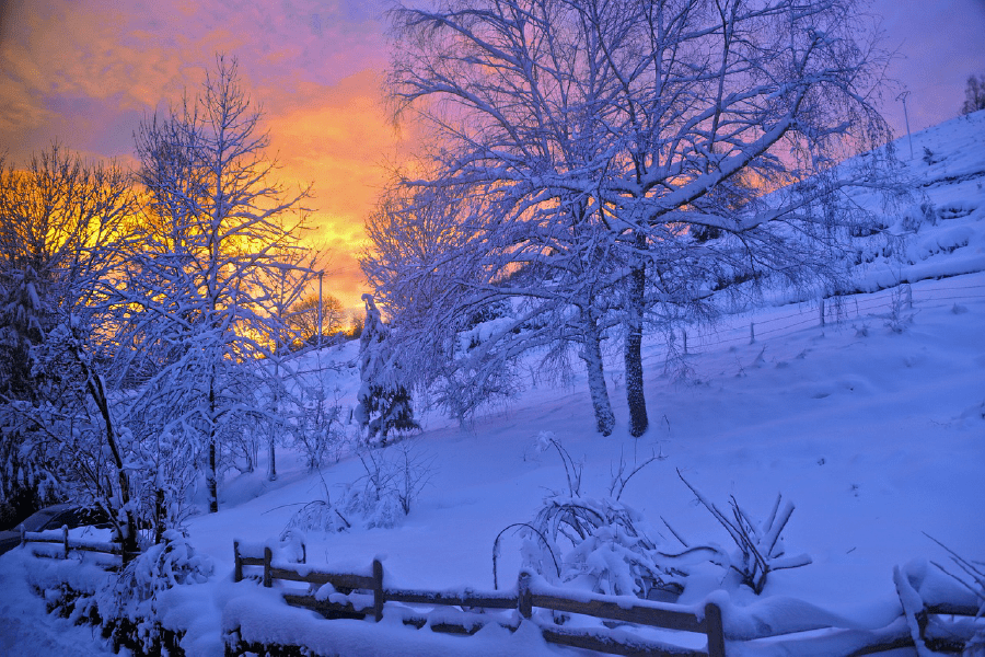 Snow Covered Trees Sunset Photograph Print 100% Australian Made