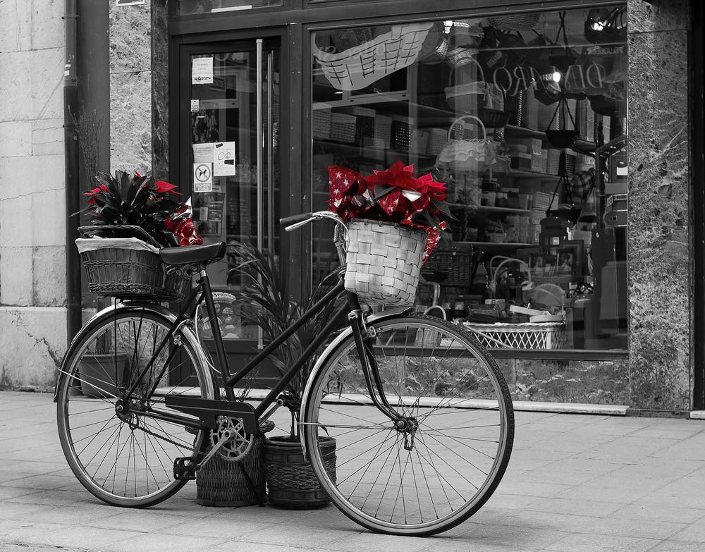 Bicycle with Flowers B&W Photograph Home Decor Premium Quality Poster Print Choose Your Sizes